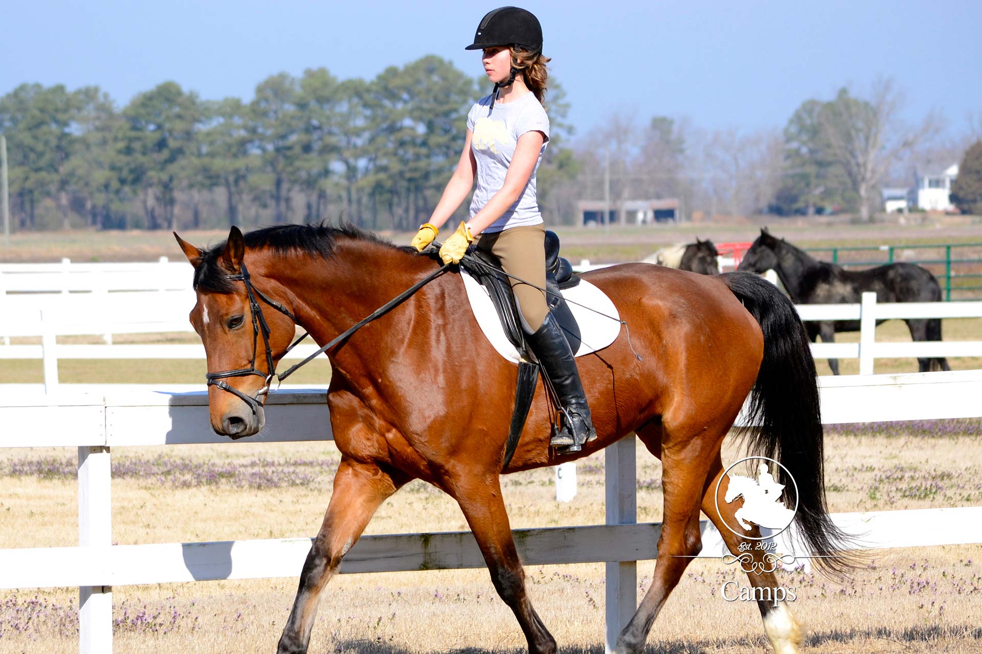 Camps Legacy Equestrian Center