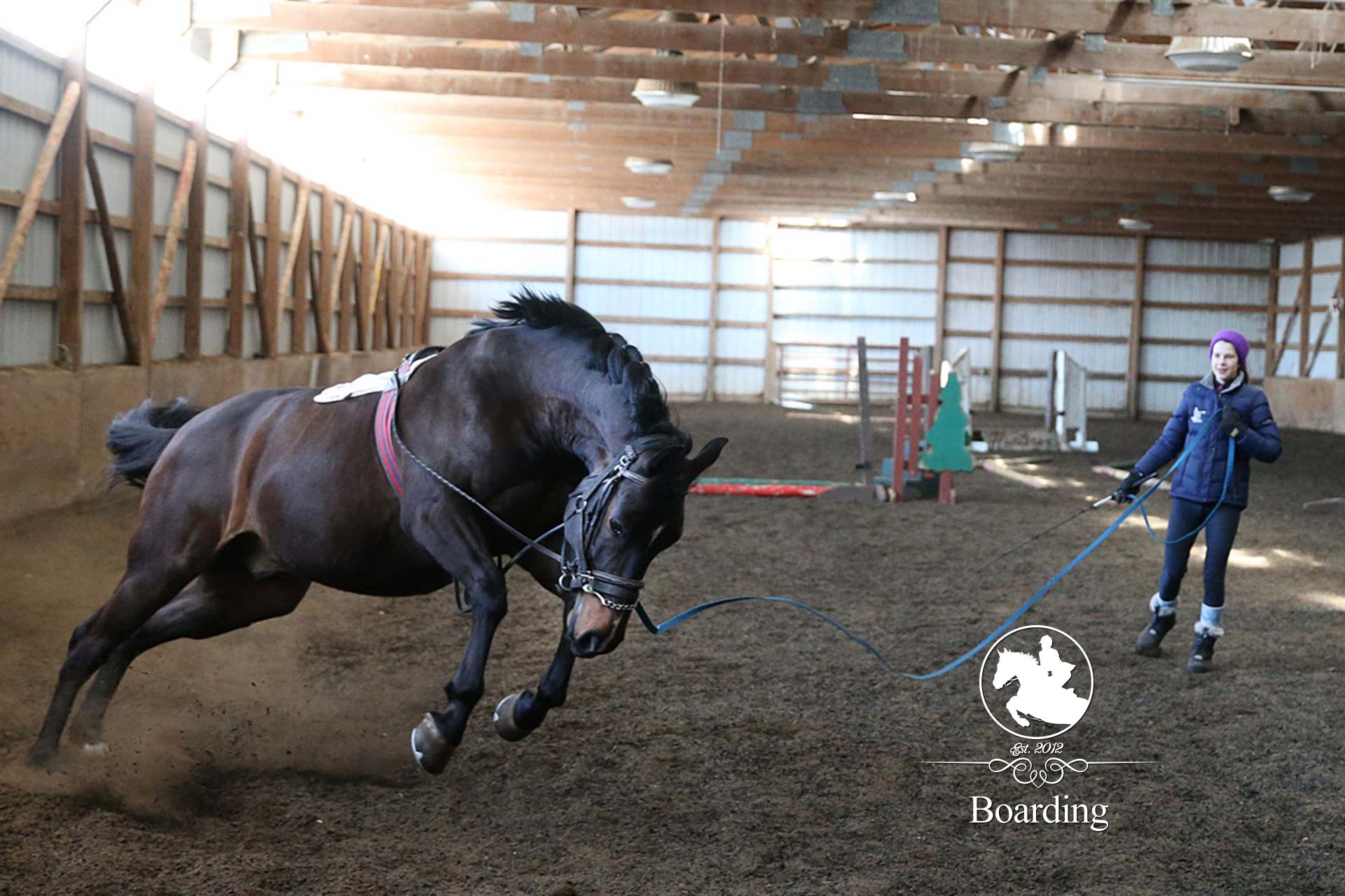 Boarding – Legacy Equestrian Center