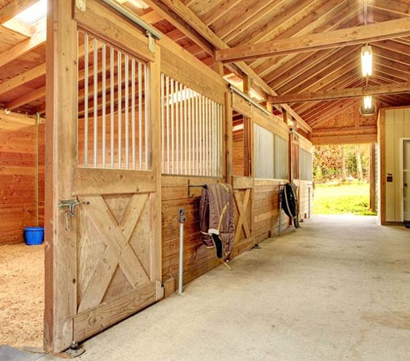 Boarding – Legacy Equestrian Center